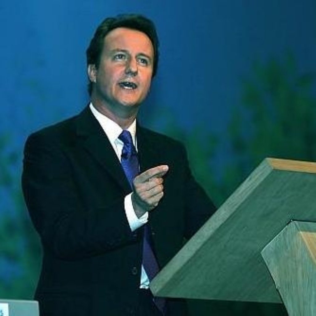 Cameron calls for society-wide effort