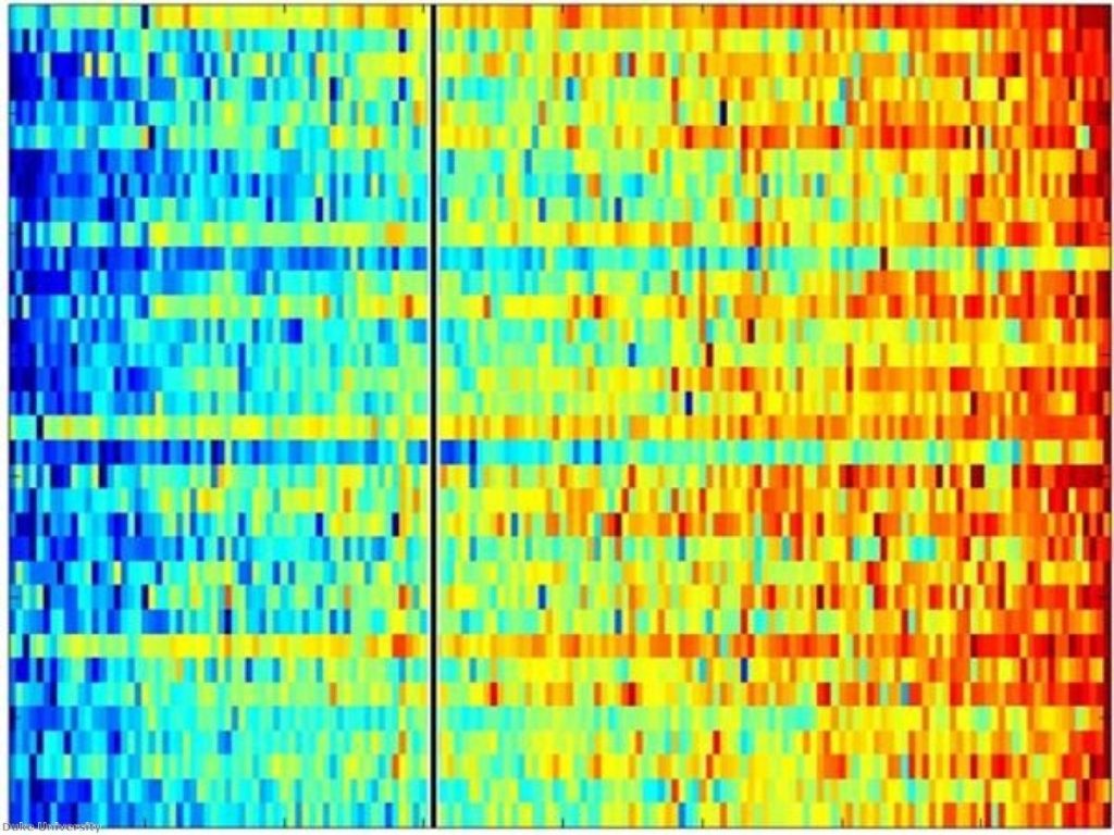 A genetic profile