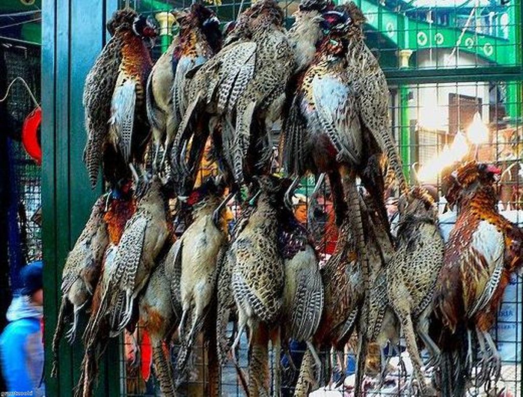 Game birds for sale in Borough Market, London