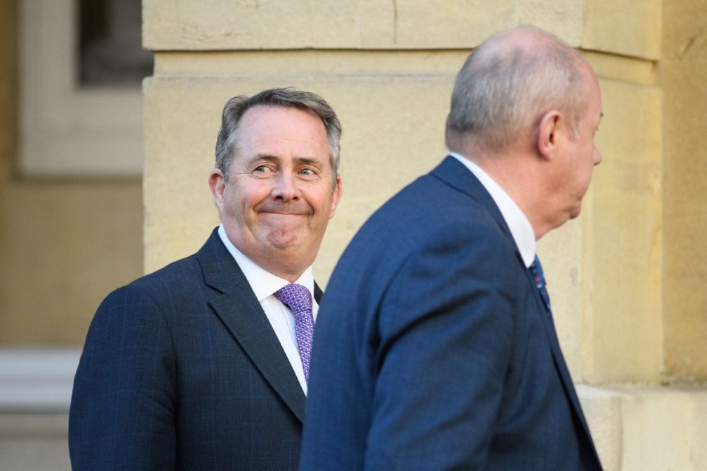 Liam Fox is slowly chipping away at the position Theresa May outlined in Florence. 