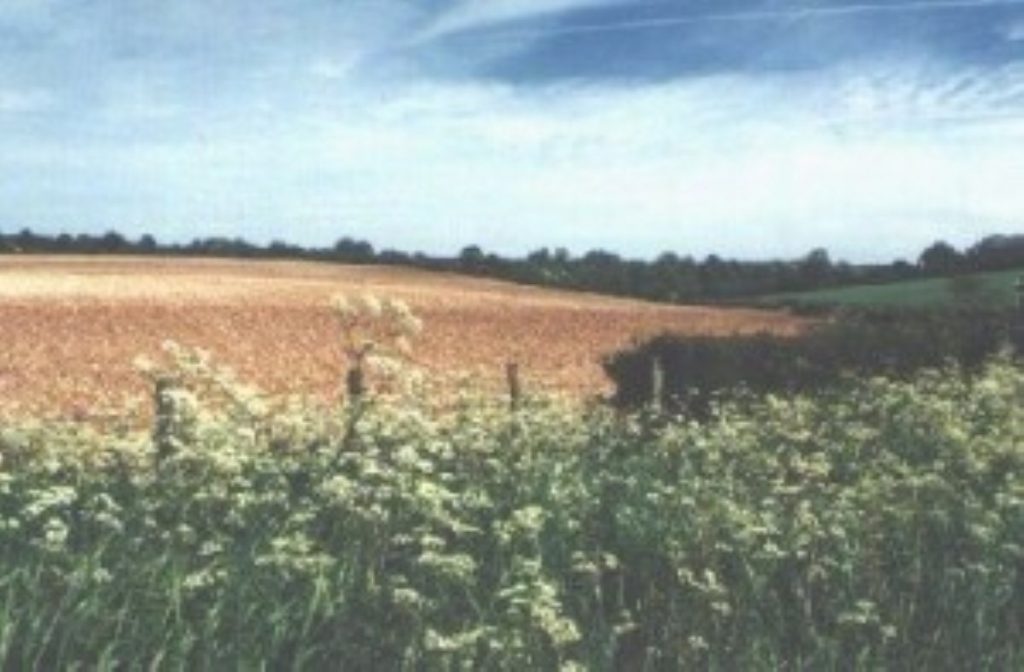 Crops still in fields