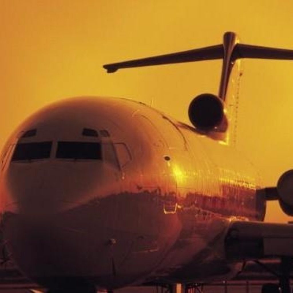 Government opposes aviation in renewables target