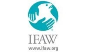 IFAW