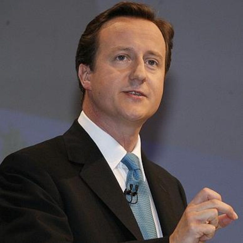 Cameron accuses the government of being 'dysfunctional'