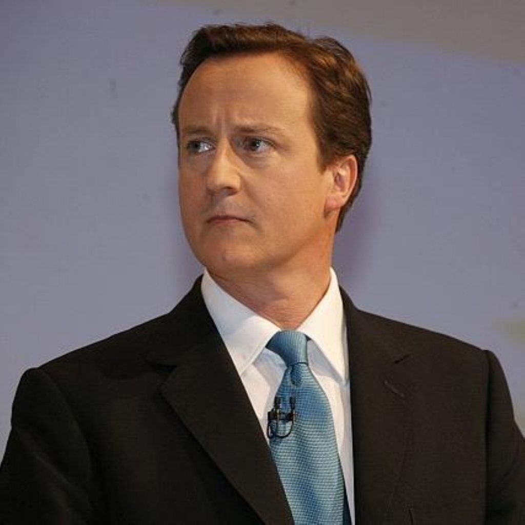 David Cameron makes the government