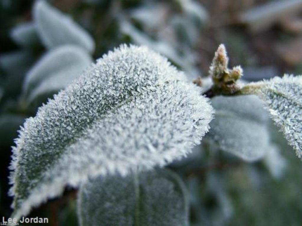 Things turned rather frosty in Westminster