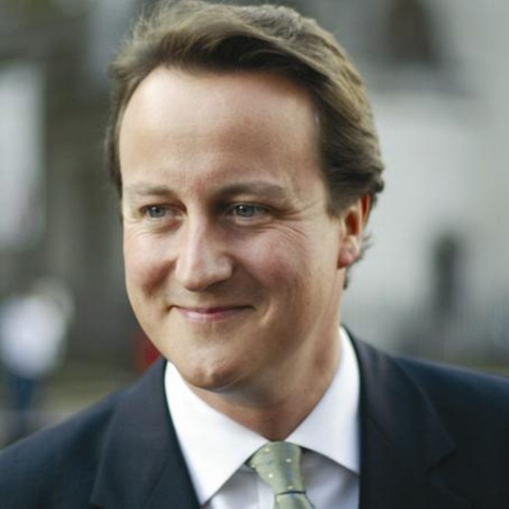 David Cameron, Tory leader