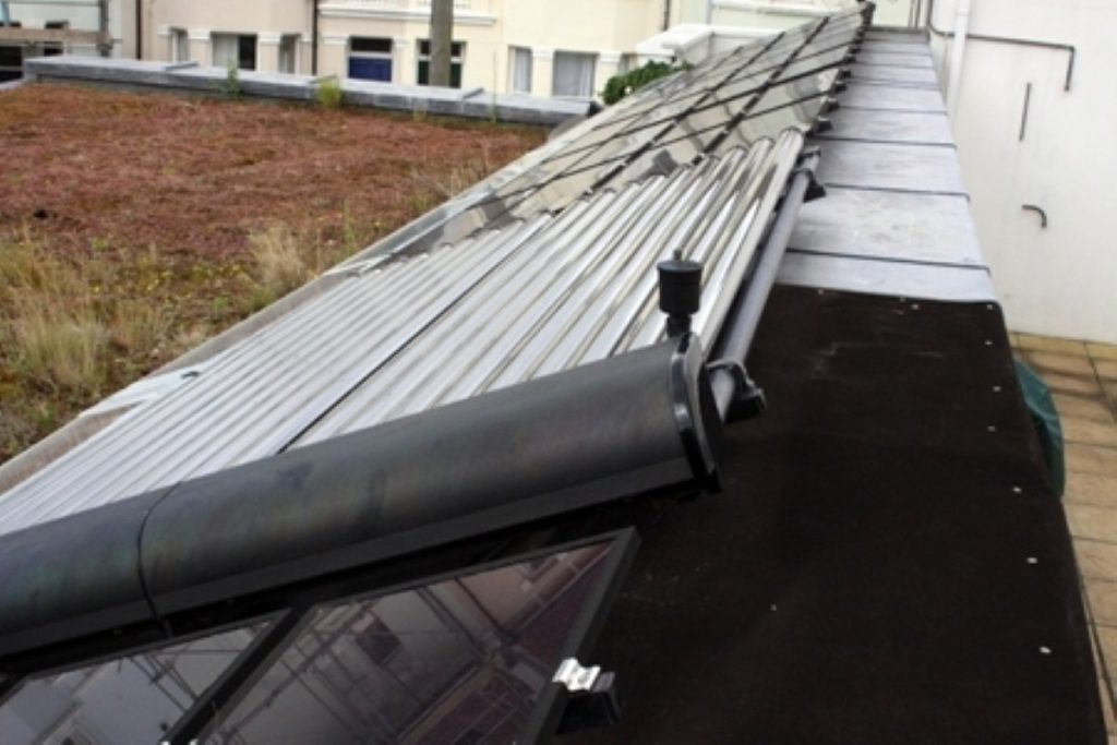 Solar panel spat growing