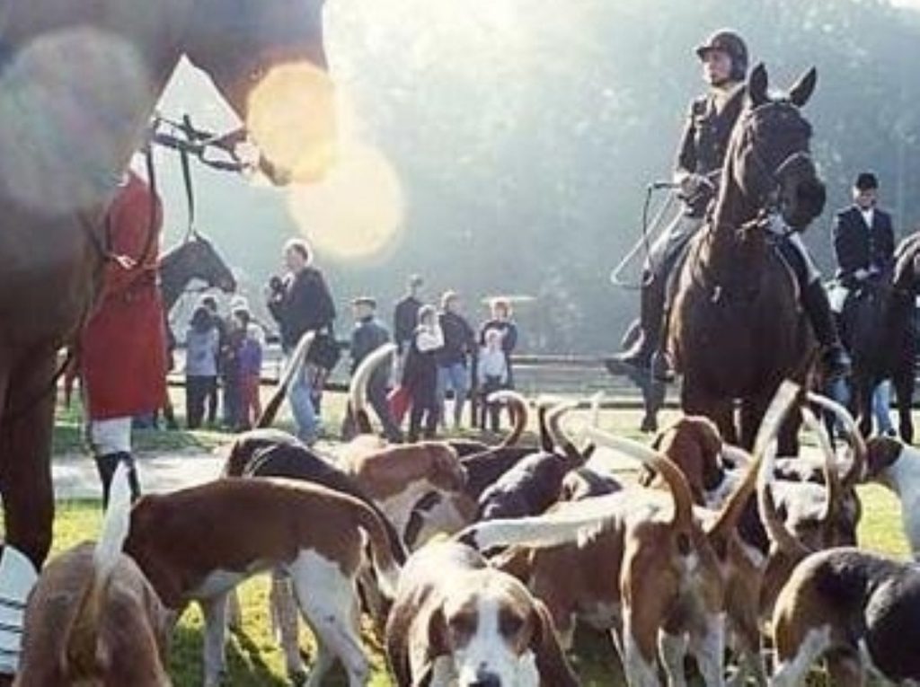 Expensive prosecutions against "barbaric" fox-hunting are justified, MP says