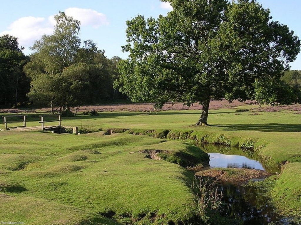 Beaulieu River in the New Forest