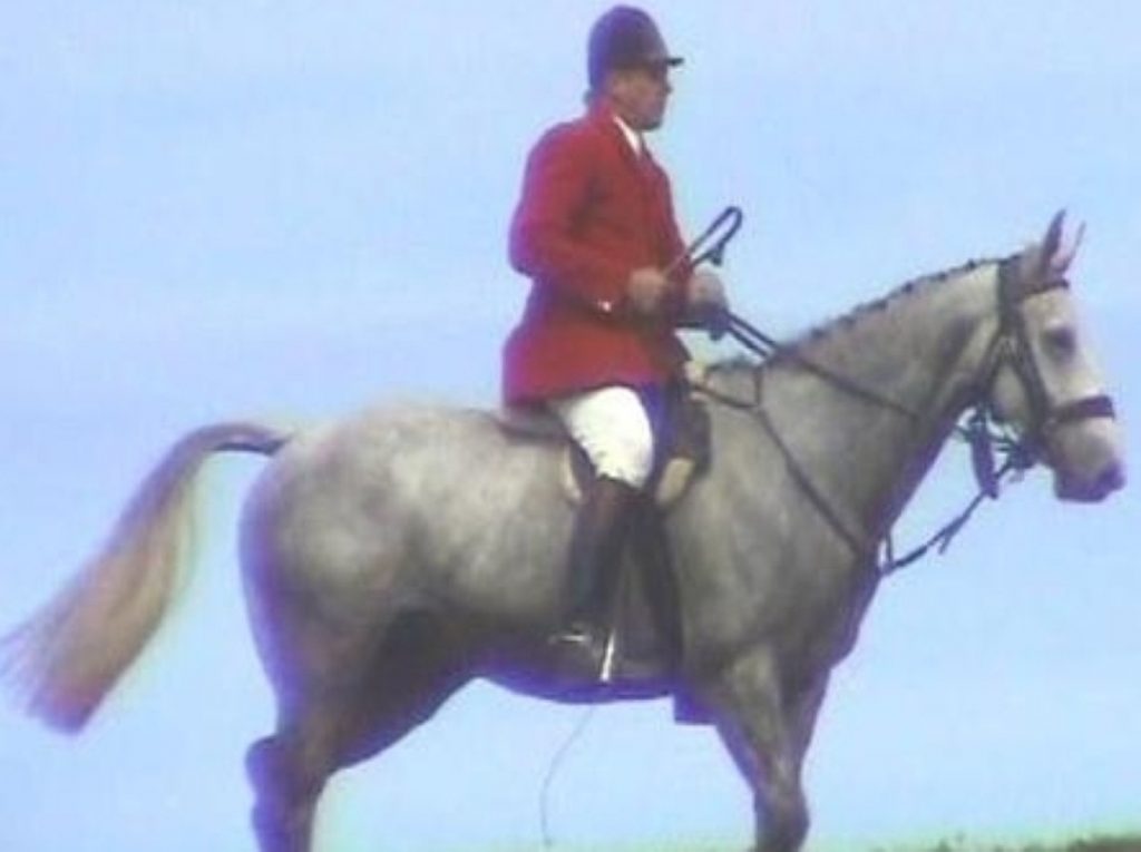 Making a return? Hunting could be back if a free vote takes place - but it's unlikely